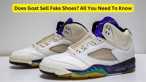 i got fake shoes from goat|is goat a real website.